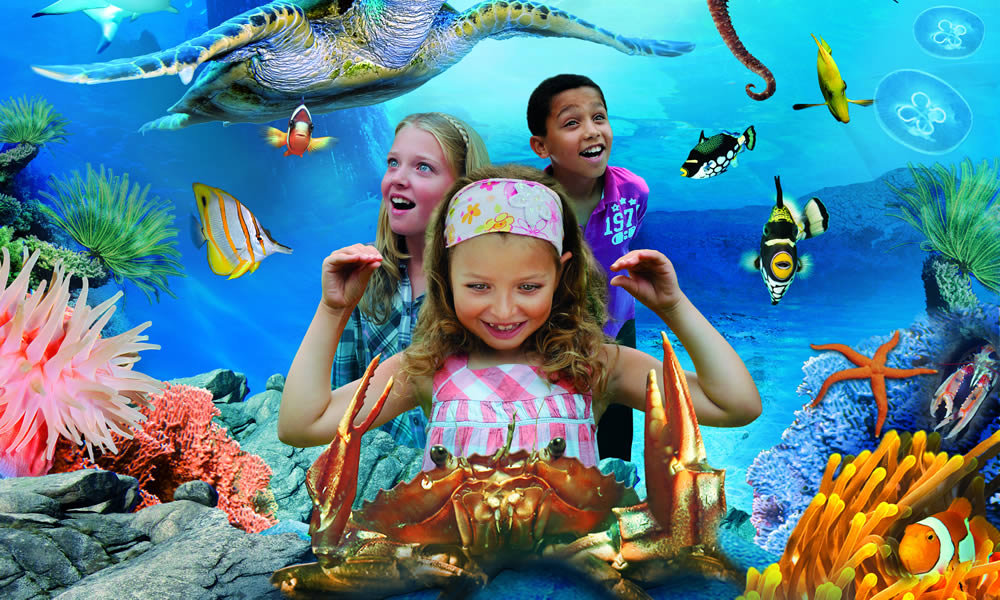Biglietti SEA LIFE Aquarium Biglietti Acquario di Londra