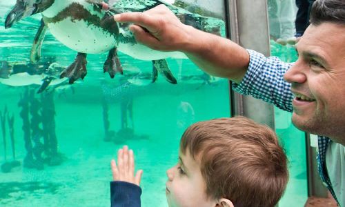 Lo Zoo a Londra è una delle attrazioni preferite dai bambini