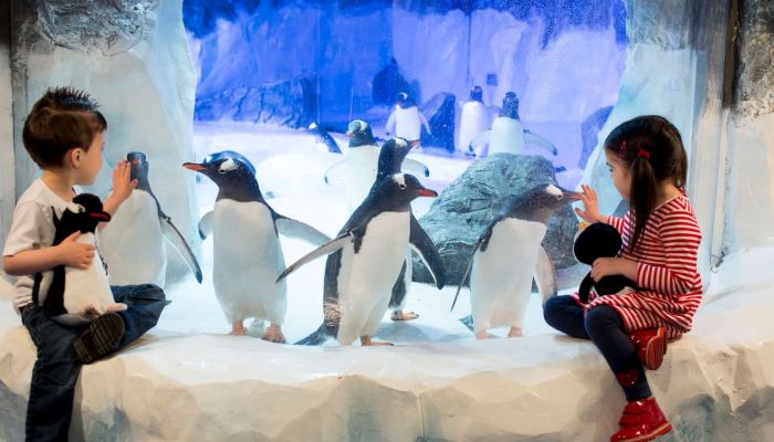 Acquario Londra