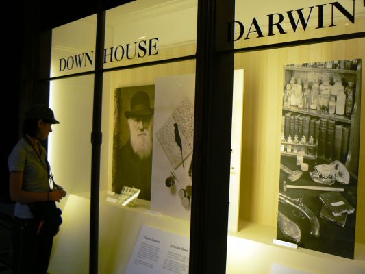 Darwin e la teoria sull'evoluzione al Museo di Storia Naturale di Londra