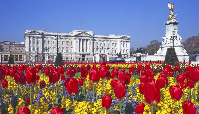 Buckingham Palace Biglietti