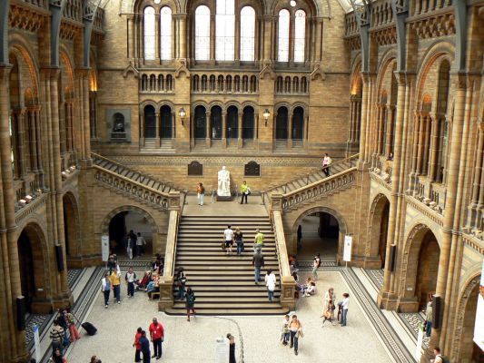 Tour Natural History Museum